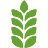 Icon 3