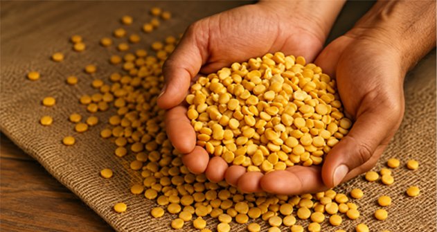 we provide high quality organic products